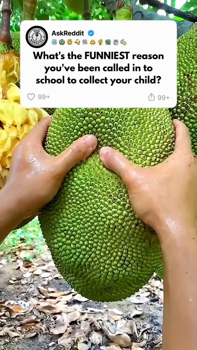 What's the funniest reason you're been called in to school to collect ...