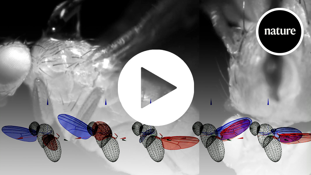 Machine learning and robotics have shed new light on one of the most ...
