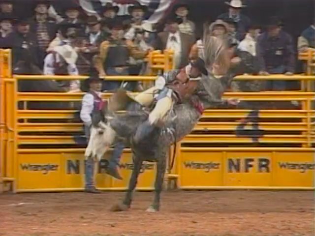 Chad Klein on Franklin Rodeo’s T44 Blue Too during round 10 at the 1999 ...