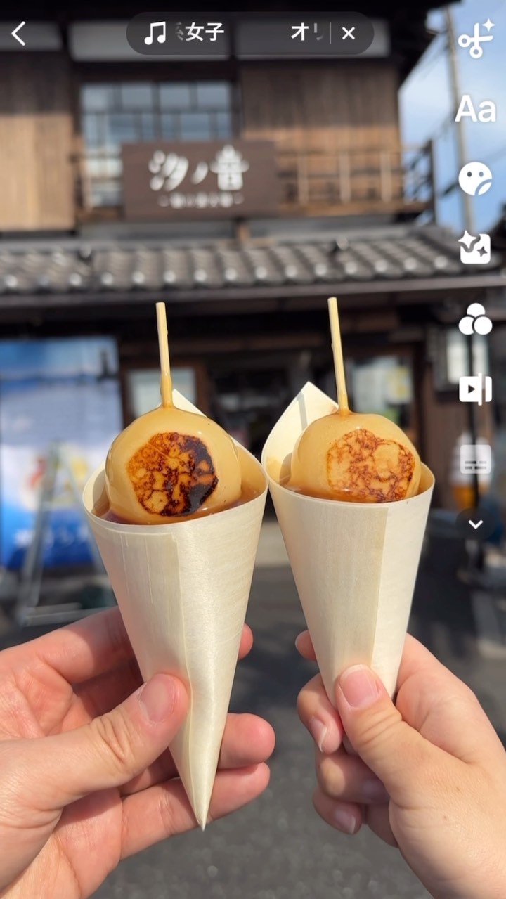 活動歴および当時の関連ビジュアル記録