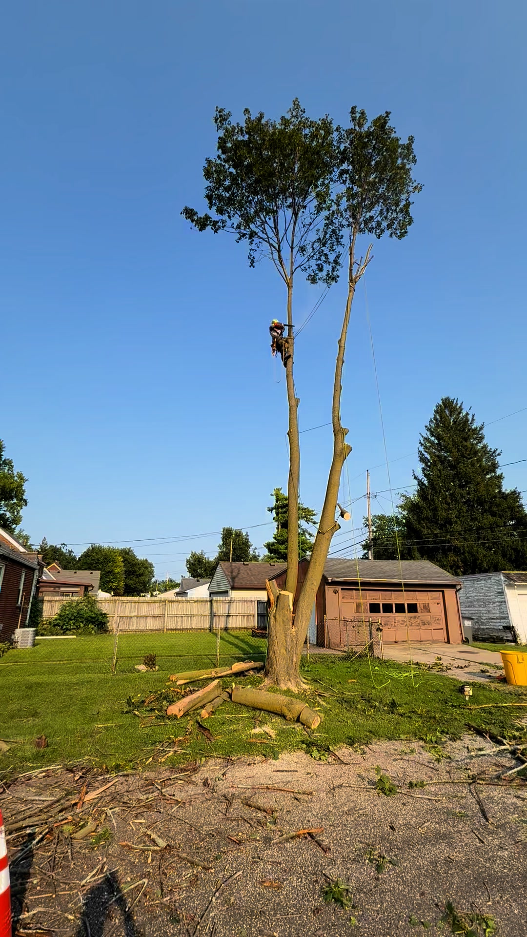Small top💨 🌳😎🪵🦅 #treeservice #treeremoval #treeclimber | Climbing-Spur ...