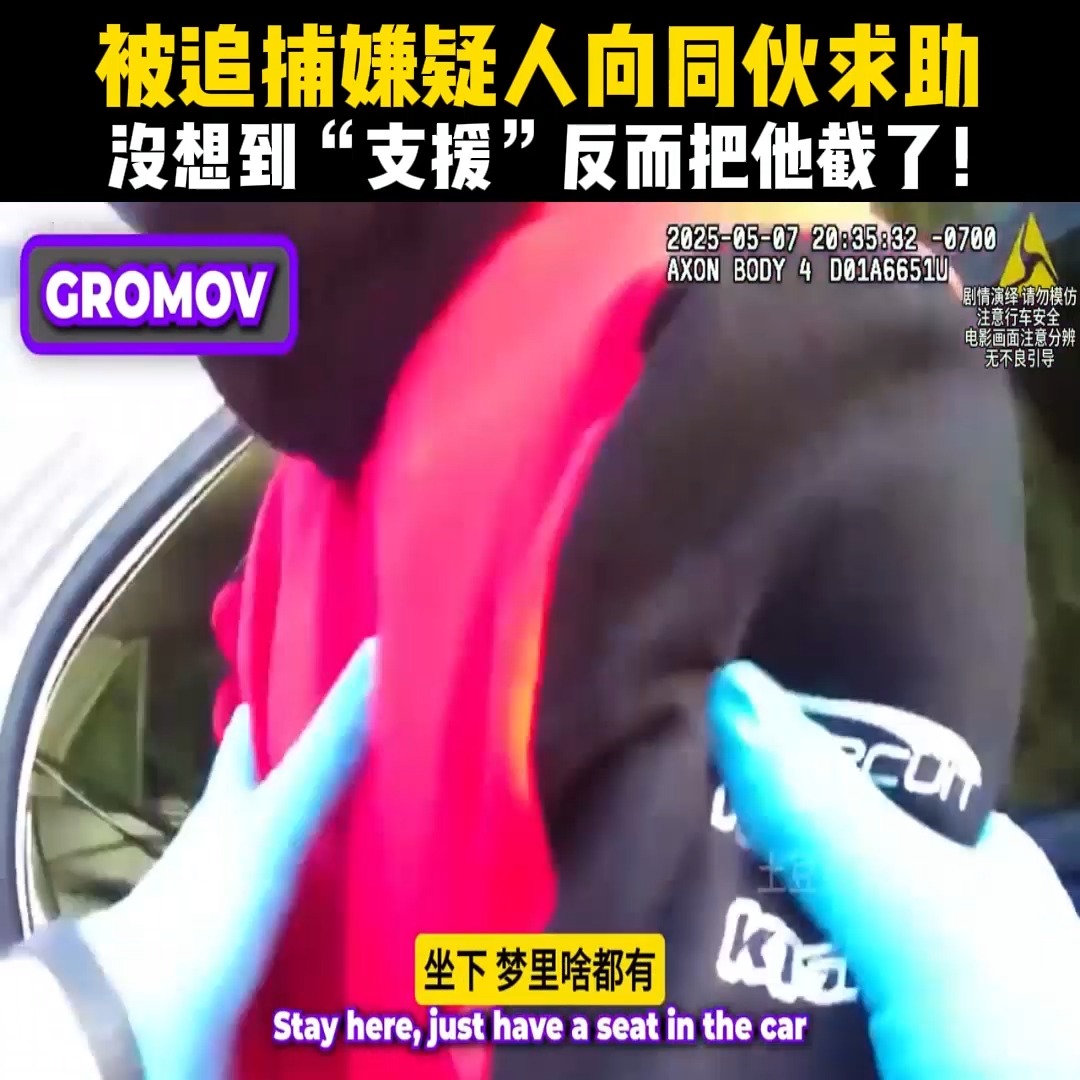 被追捕嫌疑人向同伙求助，没想到“支援”反而把他截了！ | Viral Viewer | Facebook