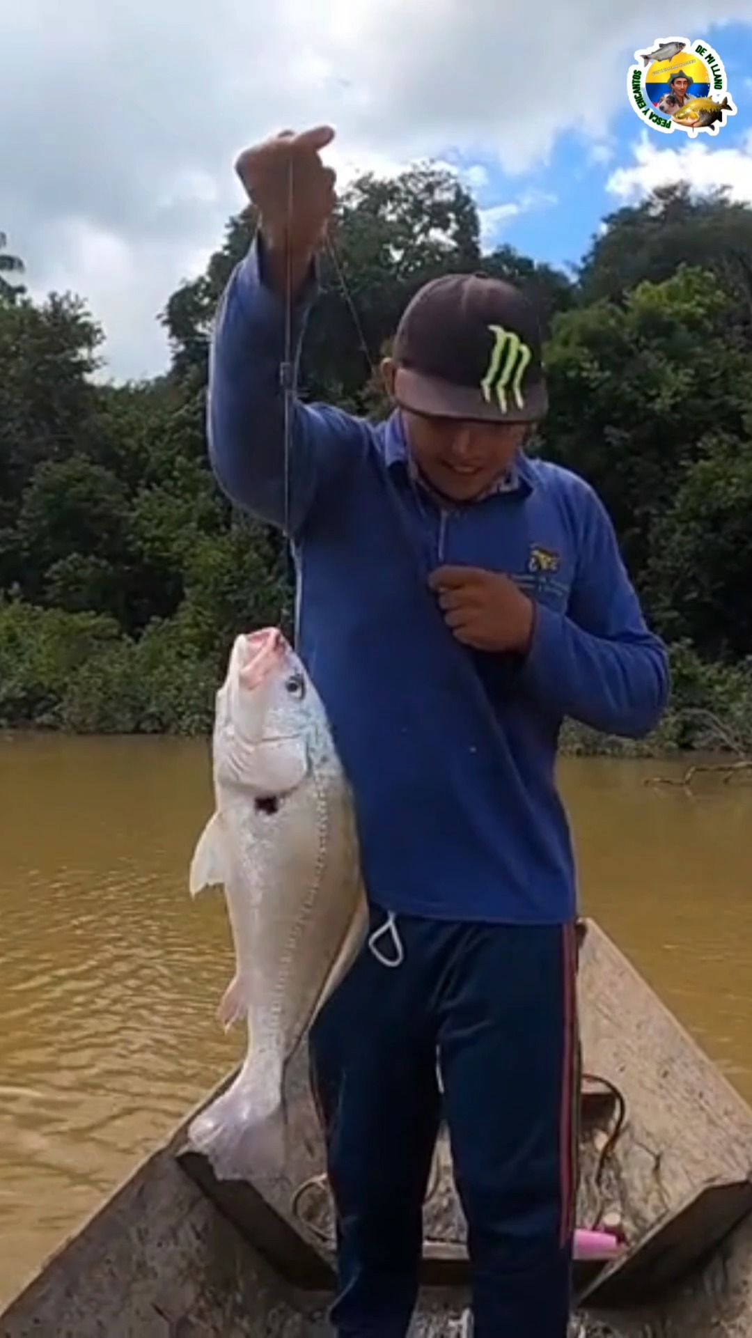 pesca de pez burra o curvinata #meta #pesca #burra #curvinata #Laguna ...