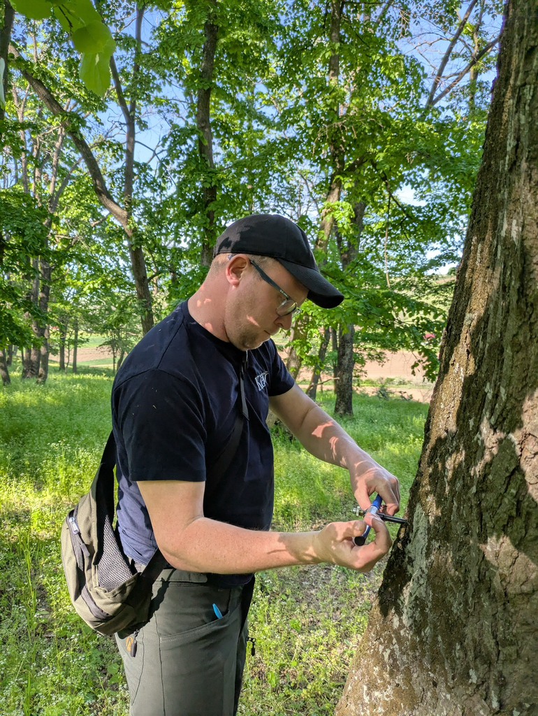 The climate is changing, and so must our trees! 🌳 Kevin Martin, Head of ...