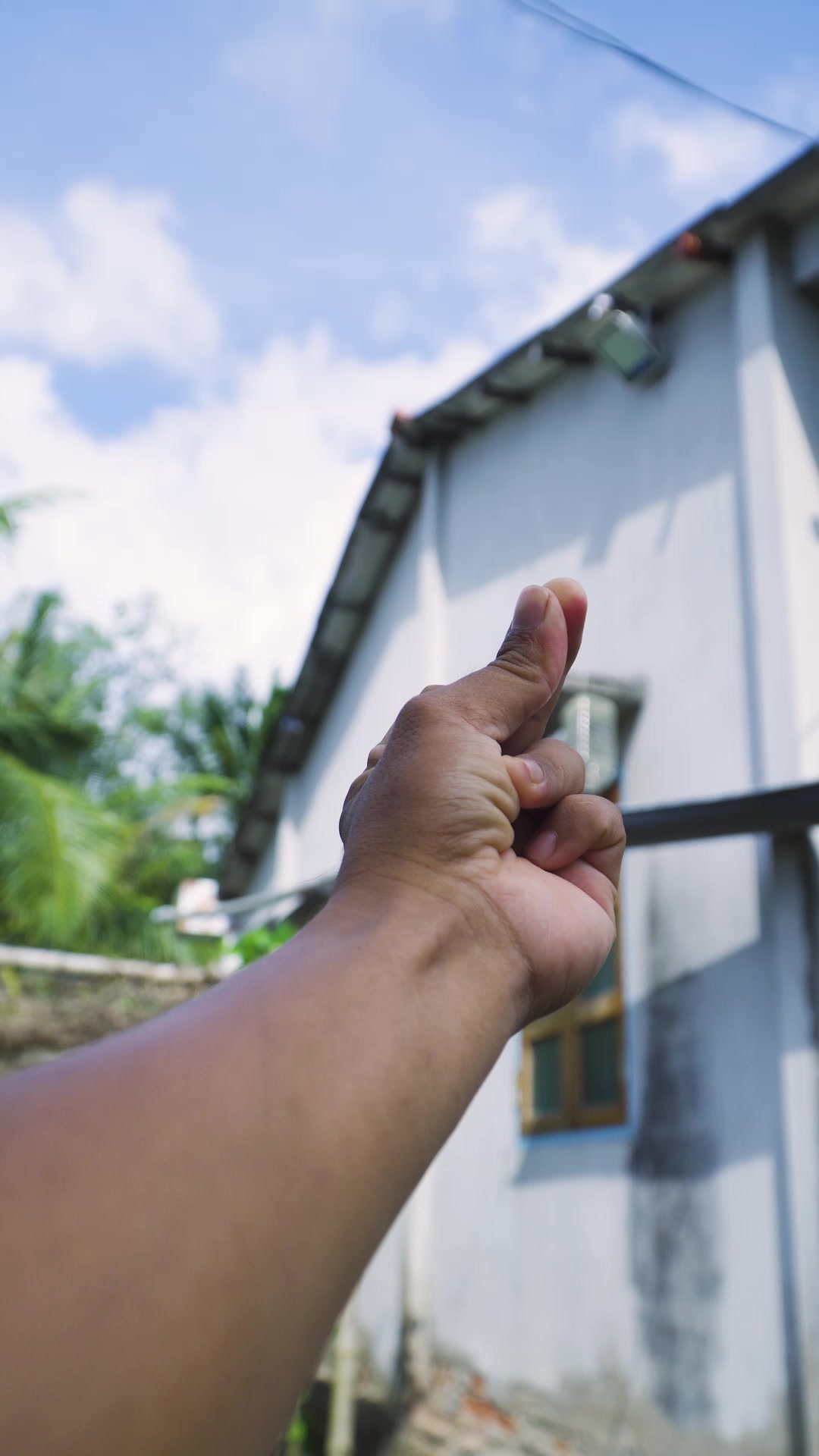 Hành trình trồng rau ngày thứ 2 | Lắp kệ rau 3 tầng, có mái che ...