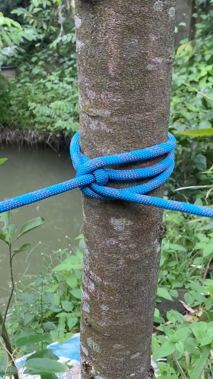 This Knot Locks to Wood #reelschallenge #reelsvideoシ #knottutorial # ...
