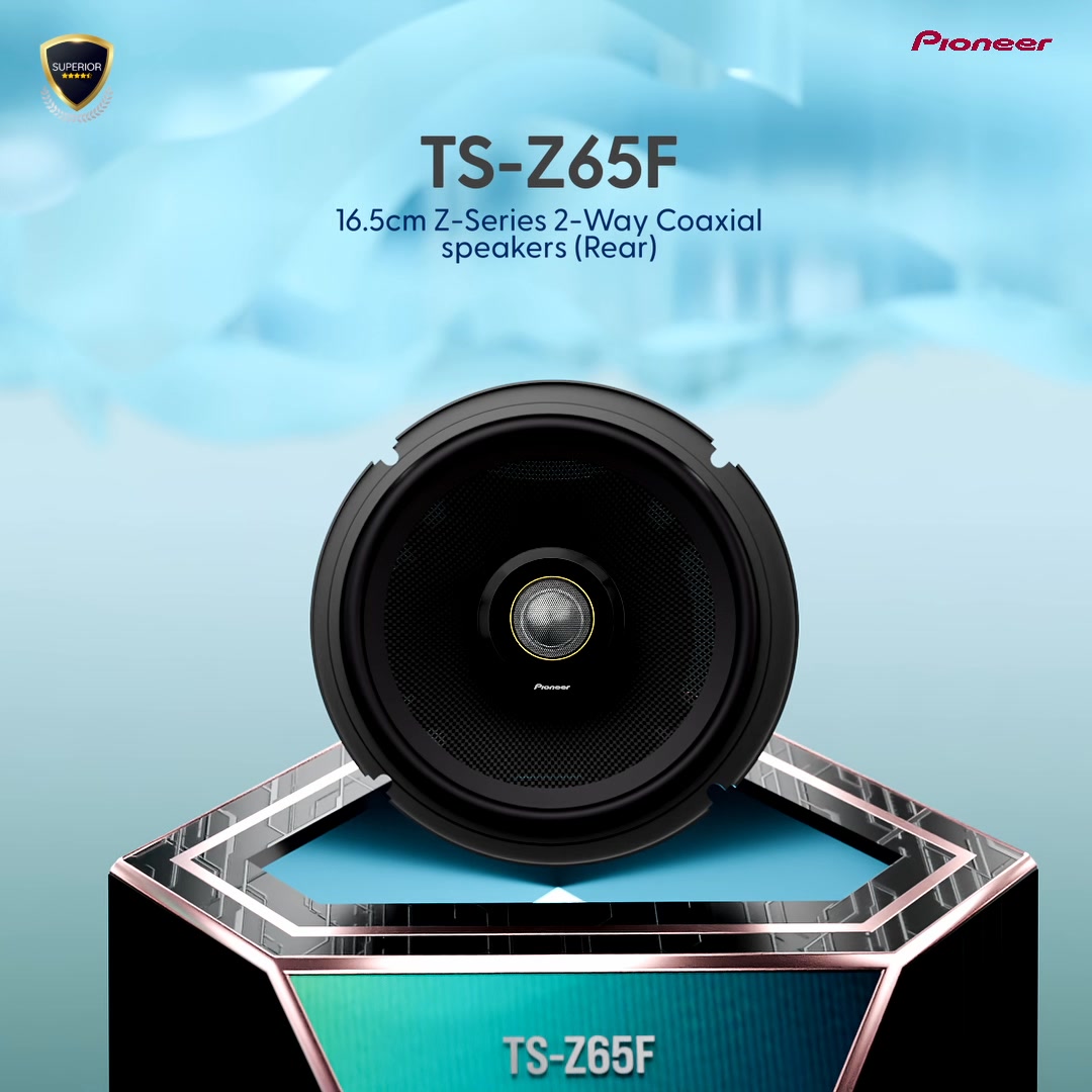 Pioneer ts-205 car audio system