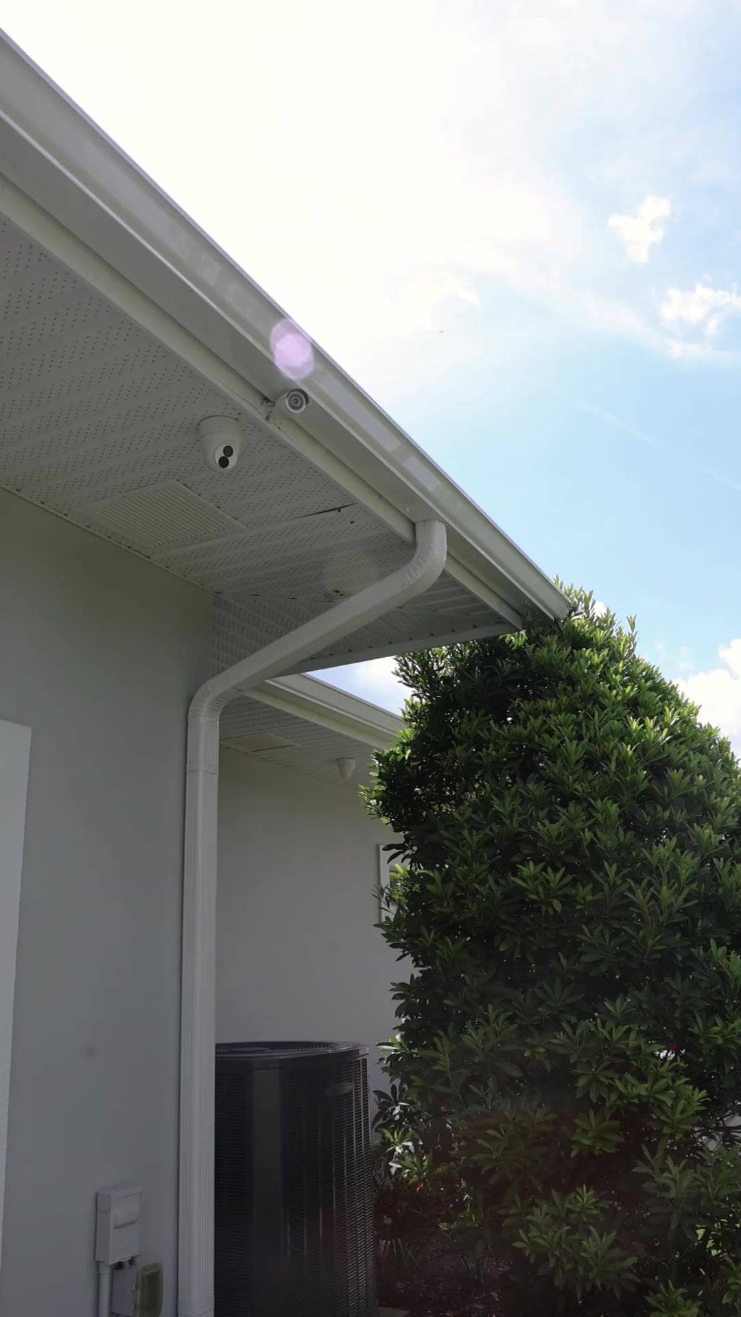 🍃🌳 Surrounded by Trees? Protect Your Gutters! If your home has lots of ...