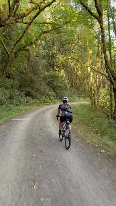 3 personen zelt pop up Pop-up-Campingzelt für THE BEST 10 Bike Zoll:27,5 upsell: ear-plugs