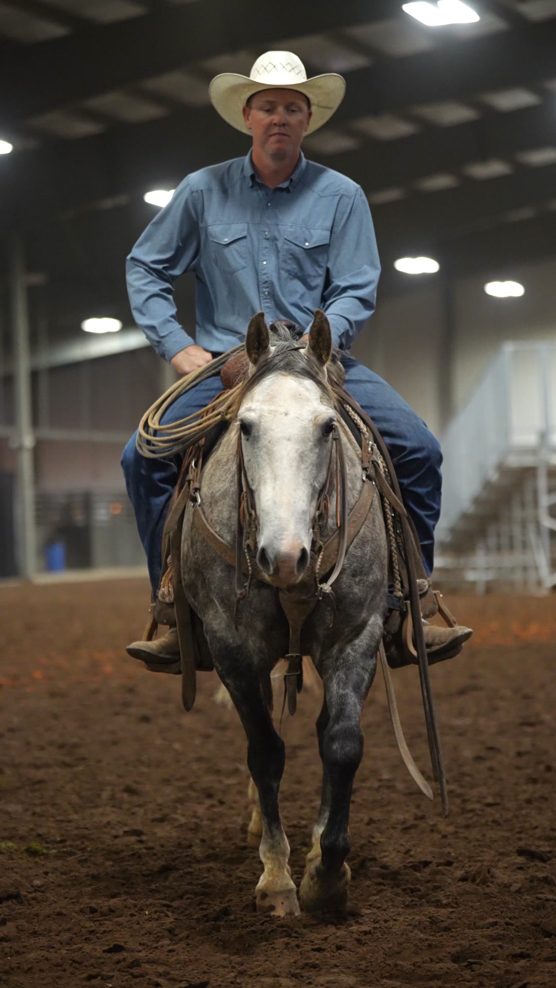 𝐇𝐈𝐆𝐇 𝐒𝐄𝐋𝐋𝐄𝐑 // $𝟕𝟑,𝟓𝟎𝟎 For the second year in a row Wilson Cattle Co ...