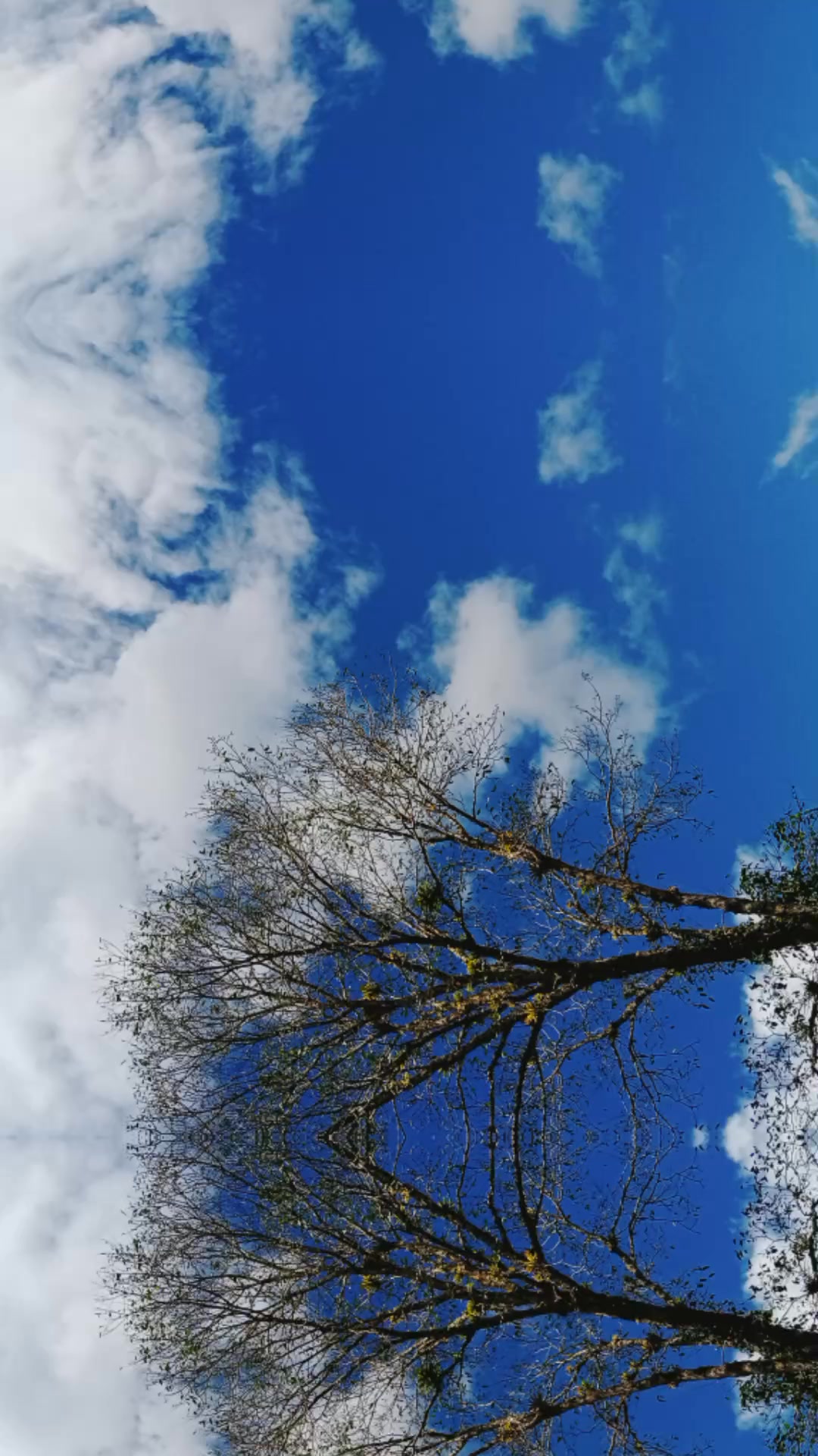 #viralvideoシ 🌄💯💥 ️🙏 | naturaleza infinita | Facebook