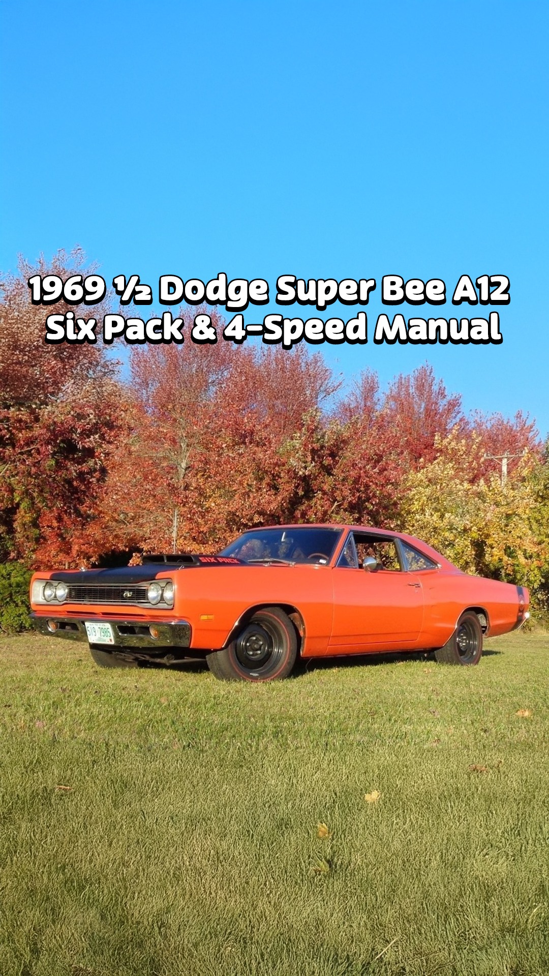 1969 ½ Dodge Super Bee | My Car Story With Lou
