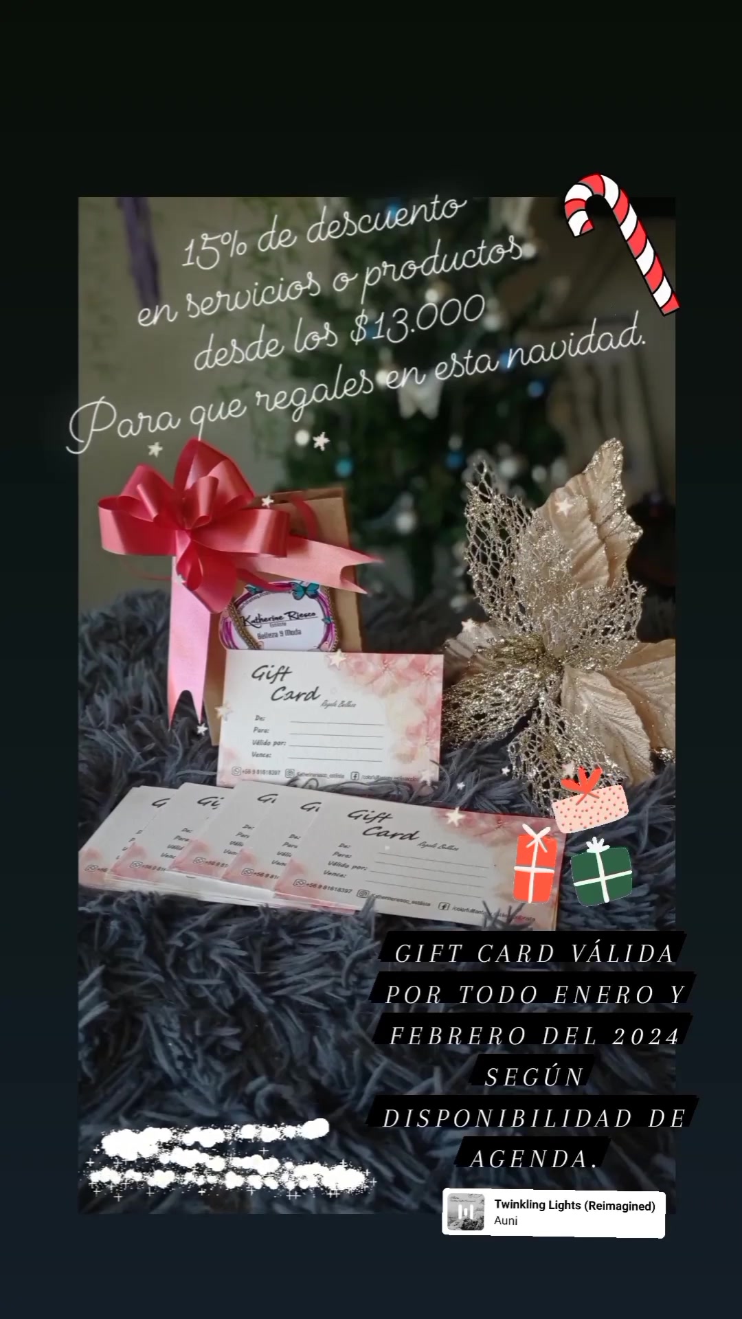 Katherine Riesco Estilista y Productos de Belleza