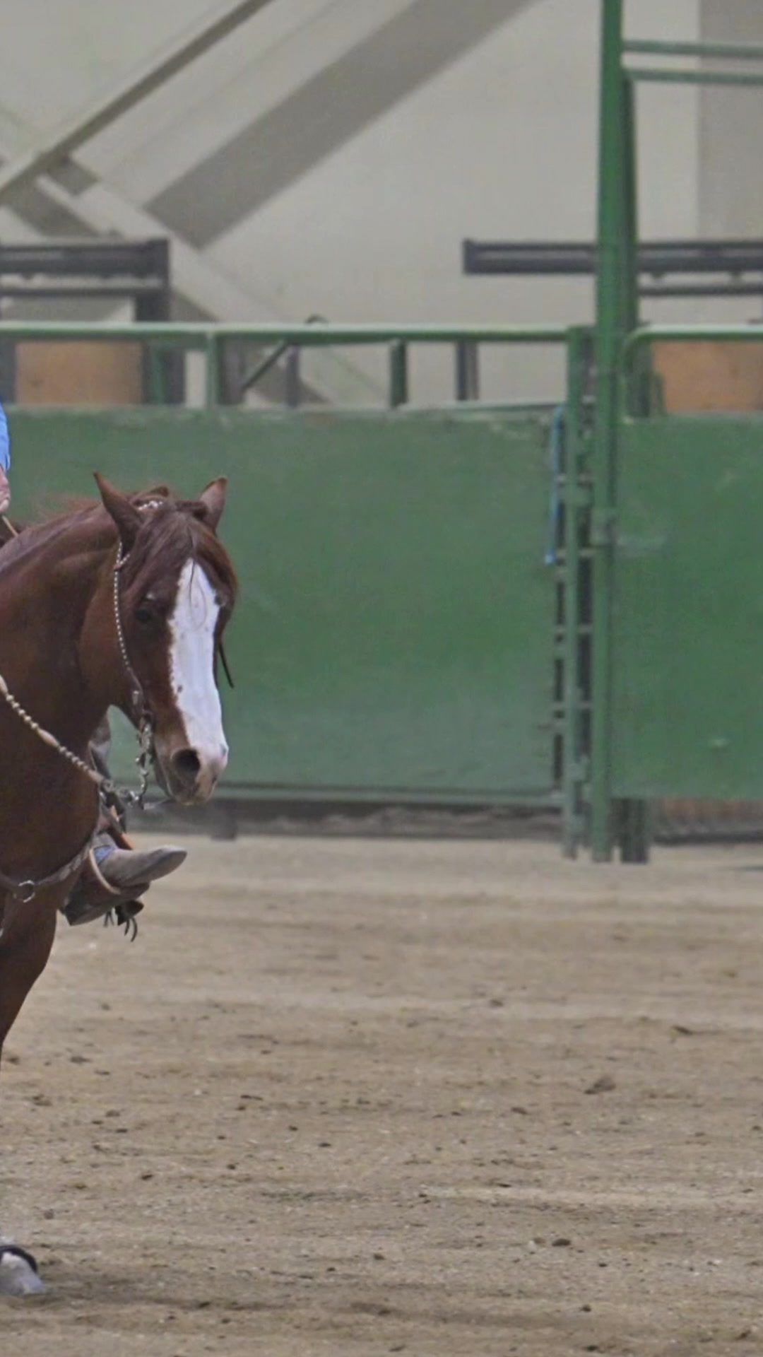 Karl Smith Performance... - Karl Smith Performance Horses