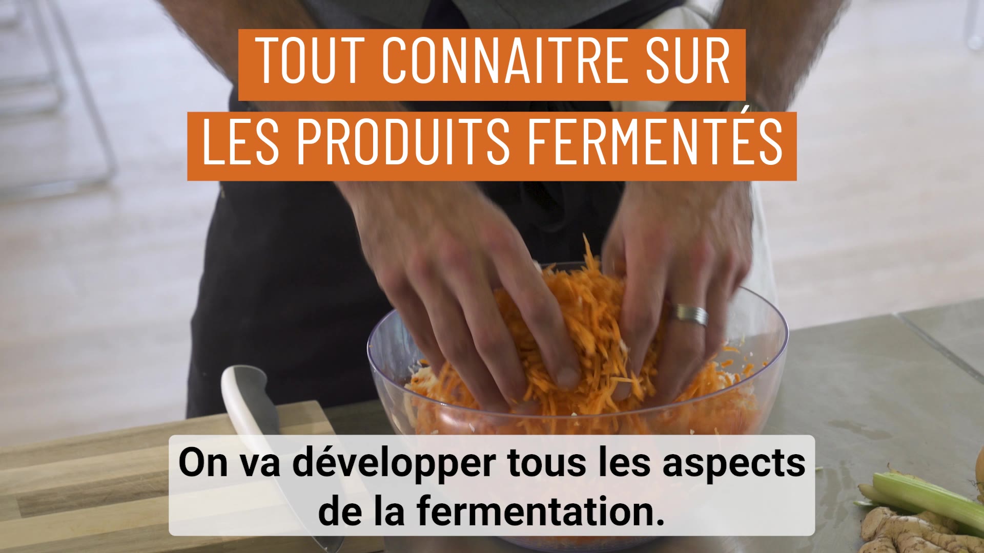 Le Grand Guide De La Fermentation Robin Vuillemenot