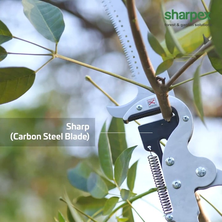 Prune the tall trees with ease. Use the 3-stage long cutter for an ...