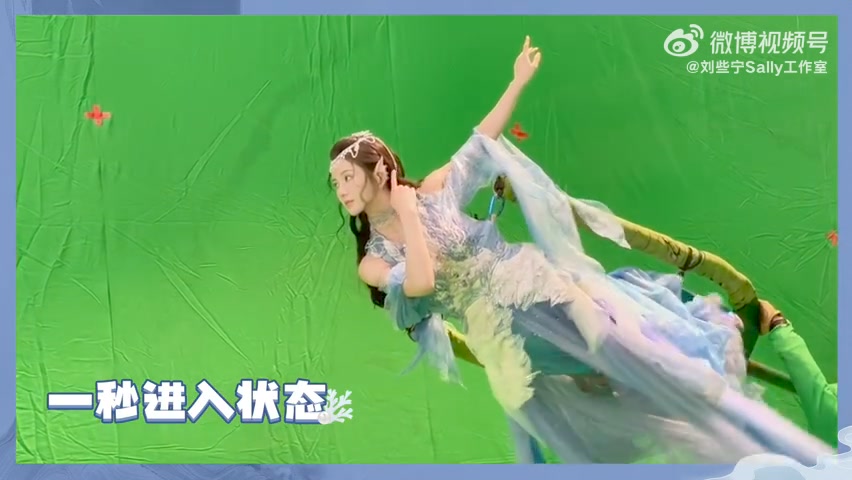 Sally 刘些宁| Facebook