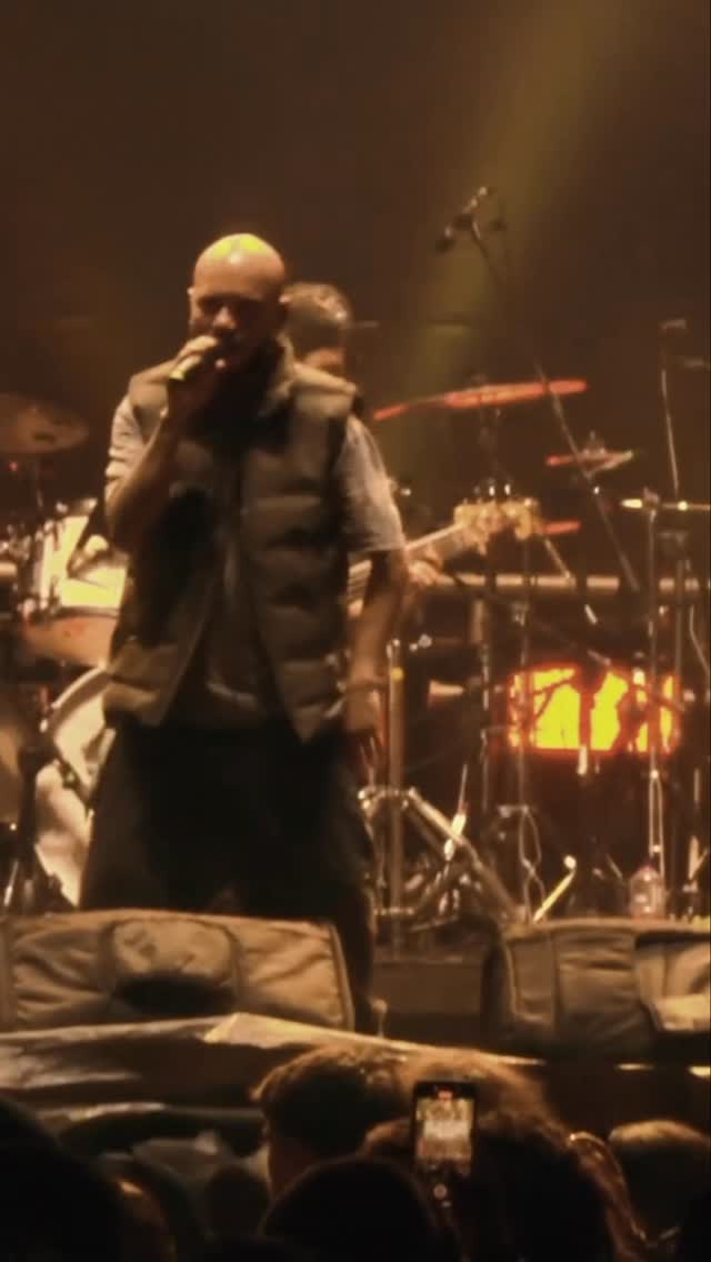Lion Reggae