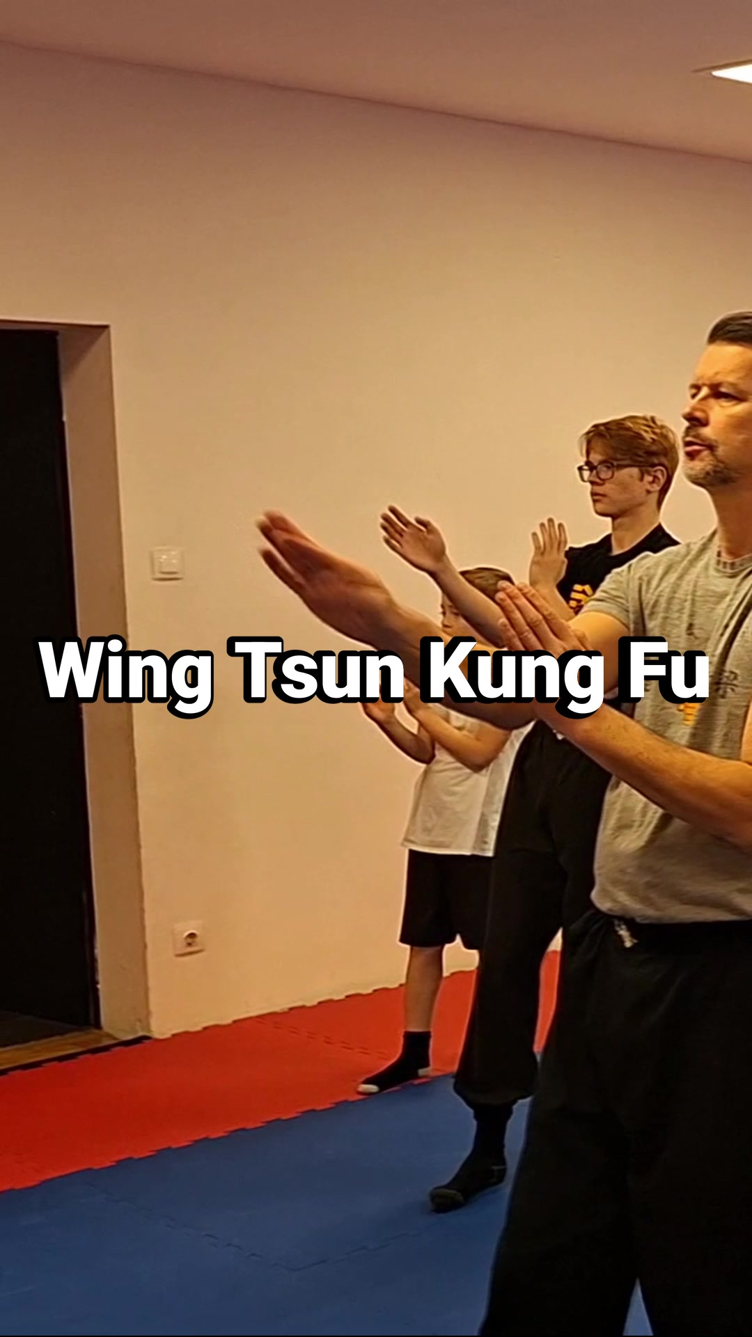 Wing Tsun Kung Fu • basic movements #wingtsun #kungfu #training | Wing ...