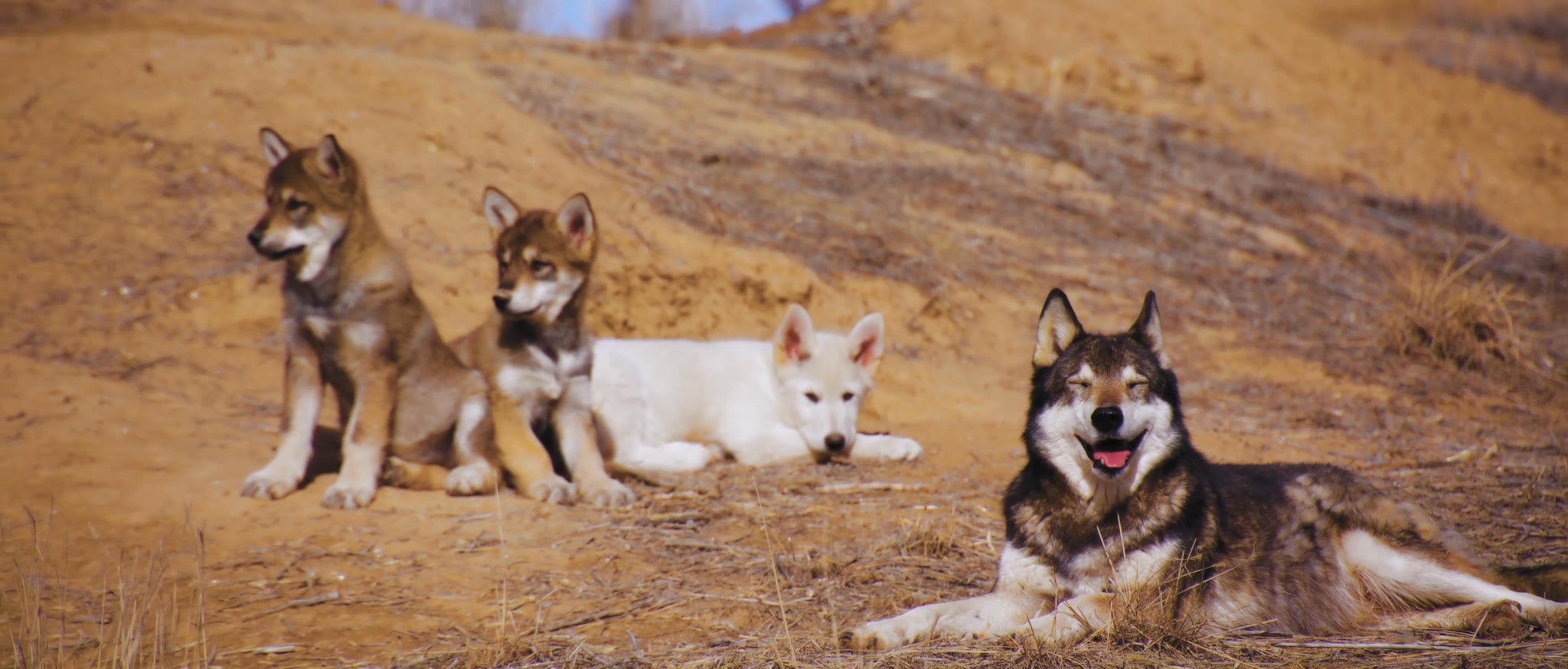 Moment of Freedom! A family torn apart, now given a second chance