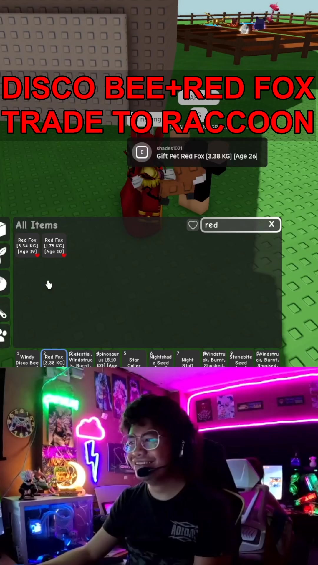 Disco Bee+Red Fox to RACCOON #gnoyumroblox #gnoyum #growagarden # ...