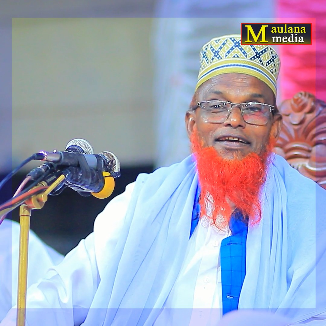 Maulana media