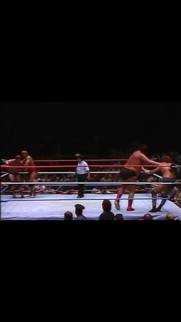 Andre The Giant and Paul Orndorff vs Roddy Piper and Bob Orton