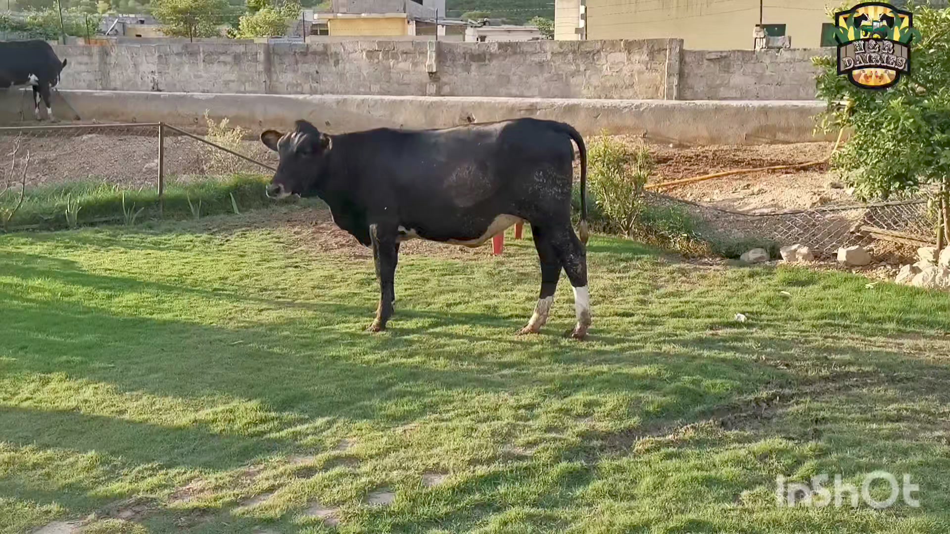 H&R Dairies | Islamabad
