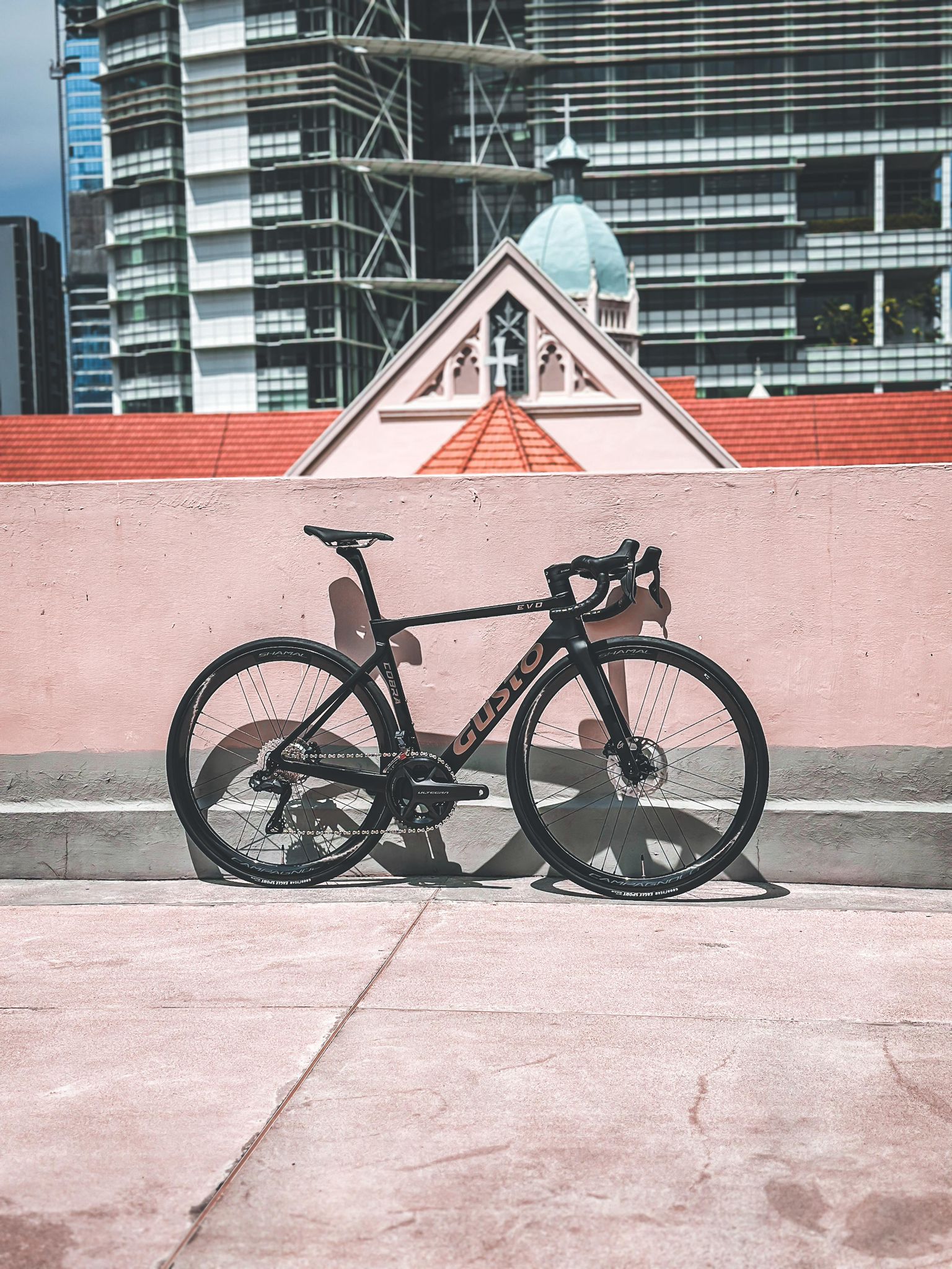 Cobra Evo DB Pro Legend #NBD at The Bike Settlement Pte Ltd 