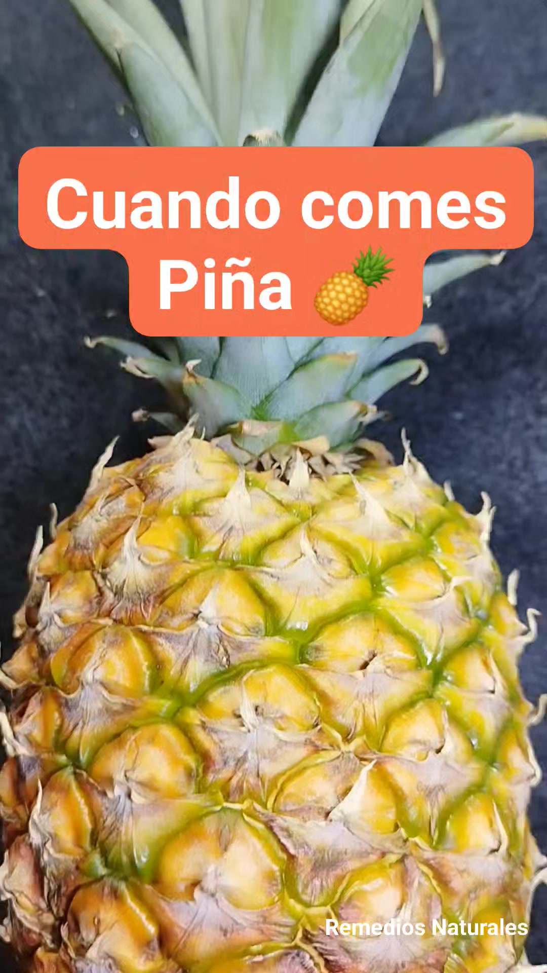 Comer piña limpia el organismo, favorece la digestión, los riñones y el ...