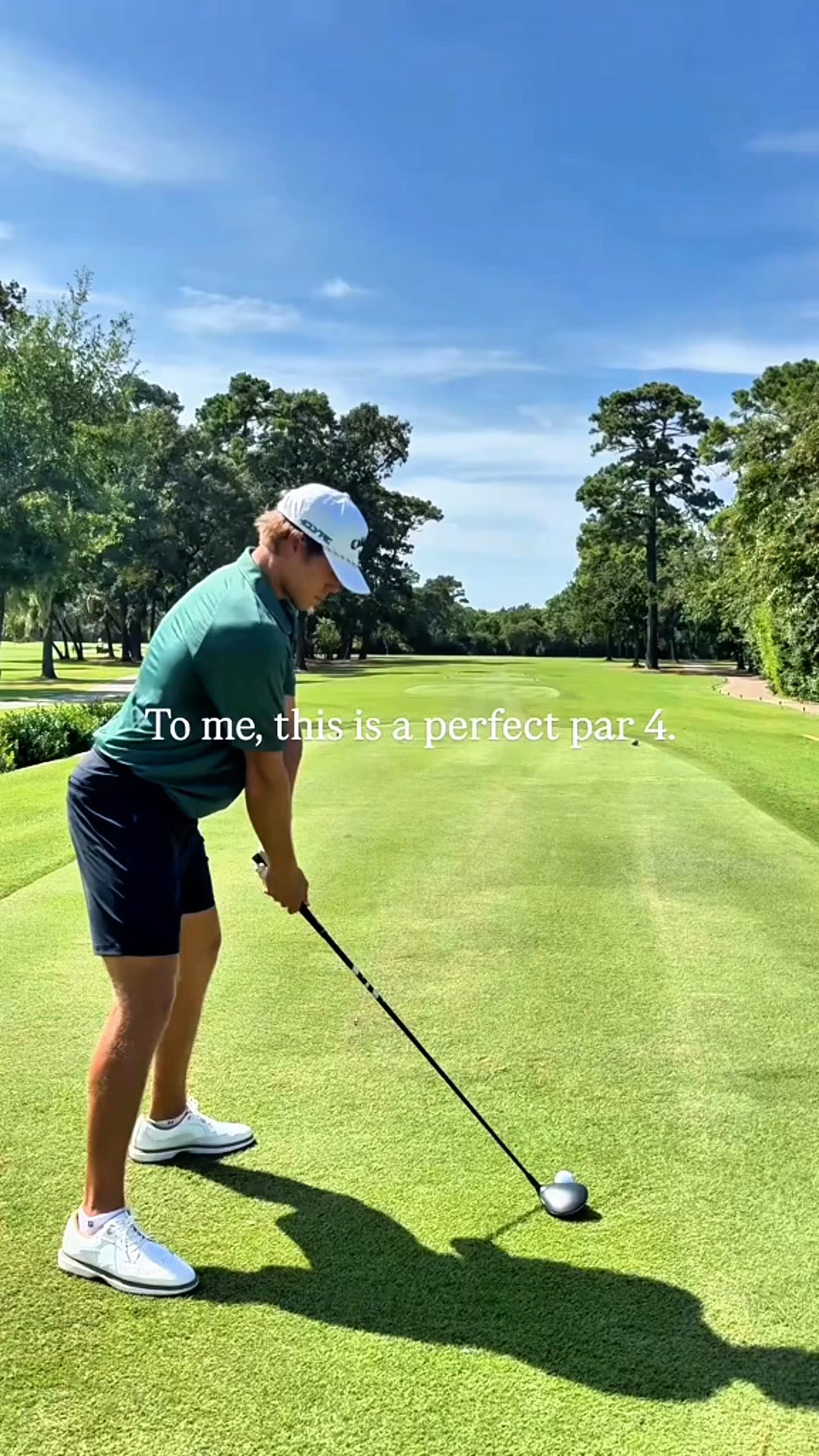 Dawg leg right par 4’s have my heart fr #golf #golfswing #youngdalt # ...