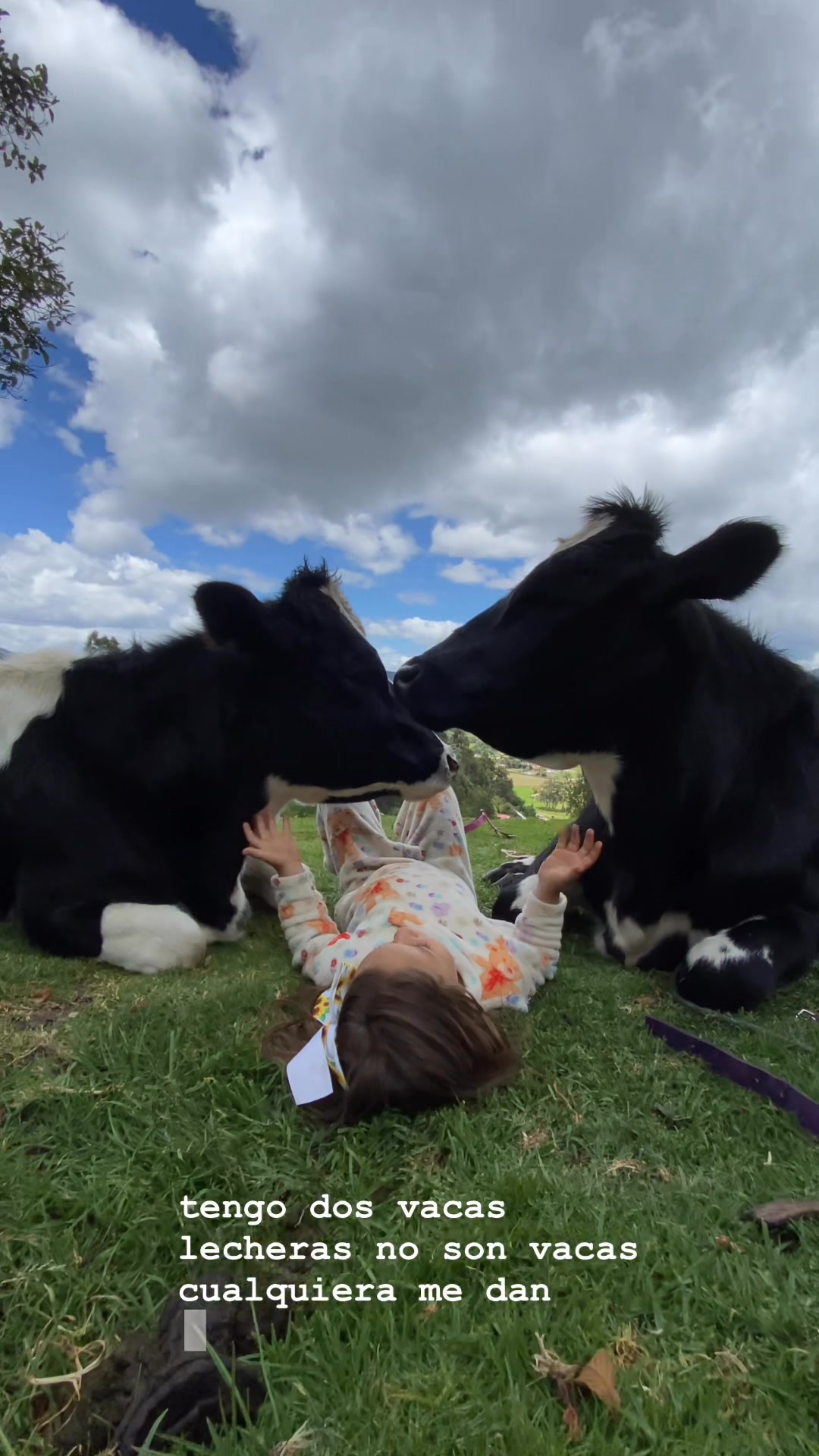 La vaca lechera: una canción que nos trae recuerdos bonitos” 🐄🎶 #cow # ...