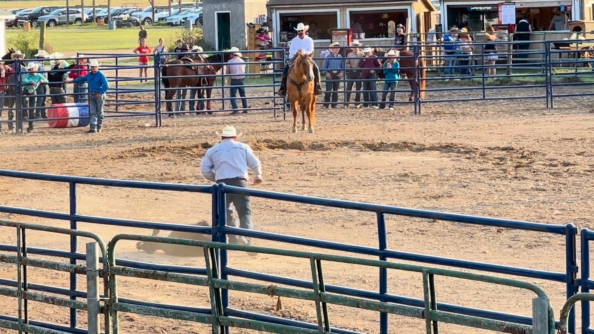🐂🎉 The WALLY WOJACK MEMORIAL RODEO is... - Double JJ Resort | Facebook