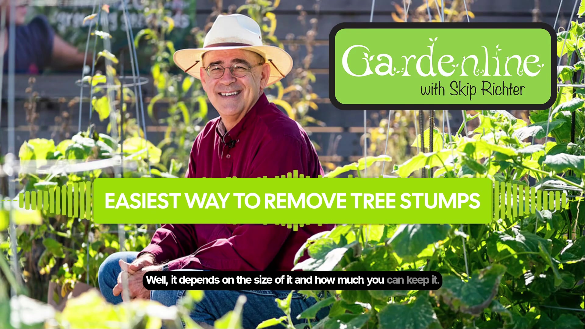 Patience is key when REMOVING TREE STUMPS naturally! 🌳⁣ ⁣ Just heard ...