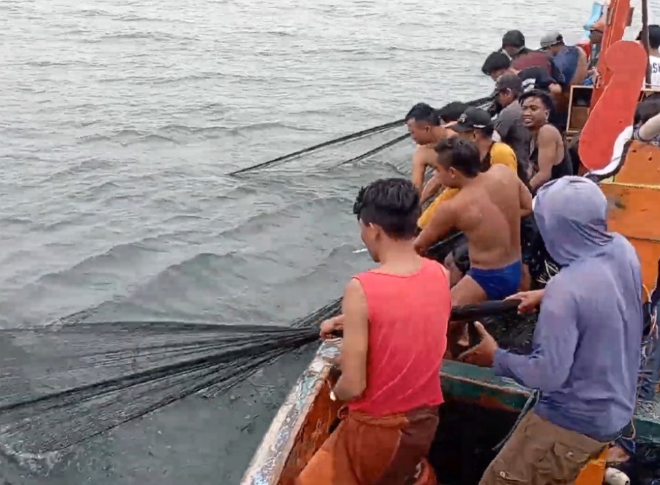 anchovy fishing with lamps and nets Fishermen, Lamps, Lighting, Decor  Modish Store Netting & Eating THOUSANDS of