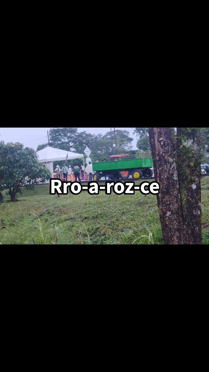 Descubre la palabra ️ Logrado💎😵‍💫🇨🇴 | Juliìan Rico