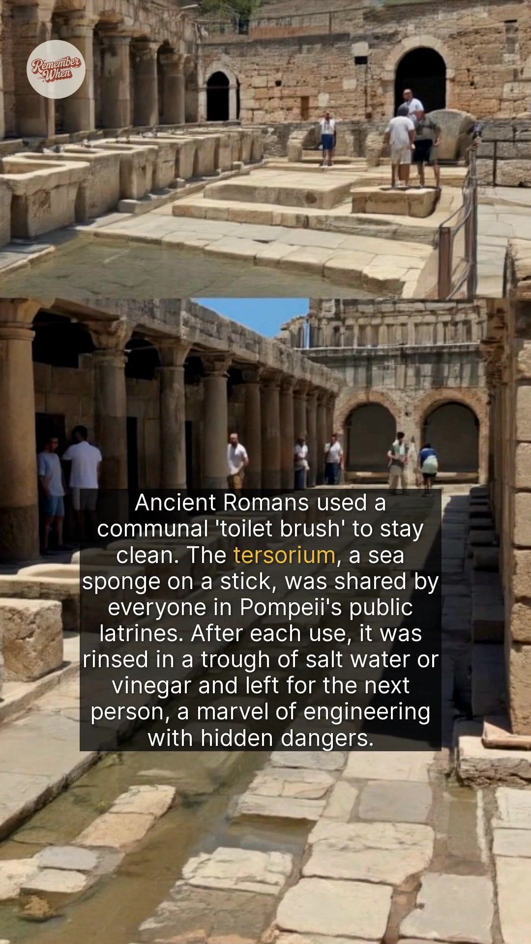 Pompeii’s public toilets, or foricae, reveal a startling side of Roman ...