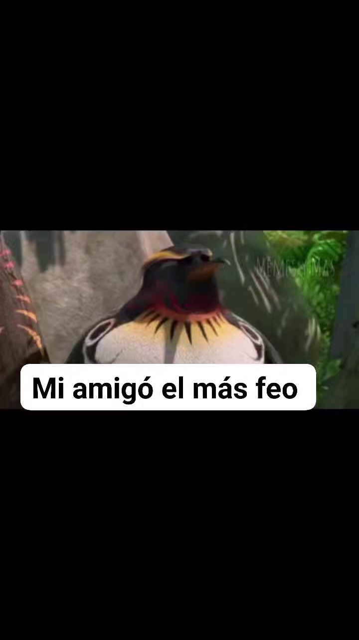 Jaja cuando te crees guapo 😂 #reelsvideoシ #humorviral #humorlatino # ...
