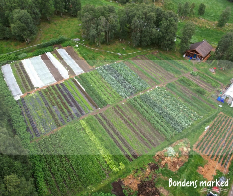 Nytt år, nye Bondens markeder! 🧑‍🌾🌱 Vil du bli varslet før Bondens ...