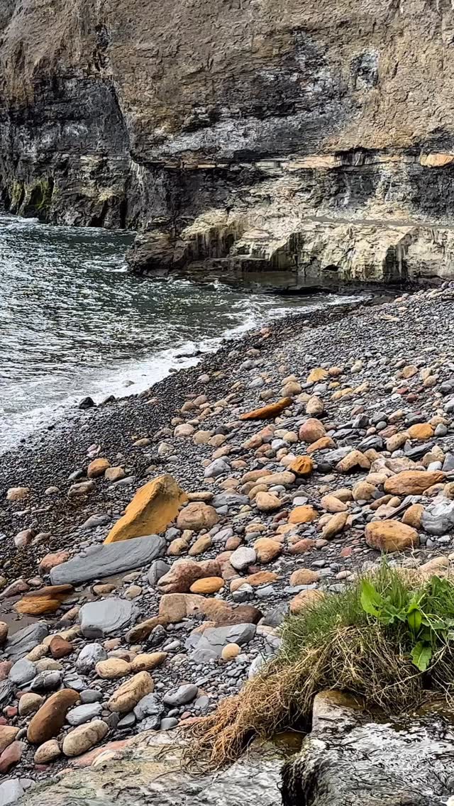 The LEGENDARY Ammonite Of Whitby #igdaily #geology #rocks #geology # ...