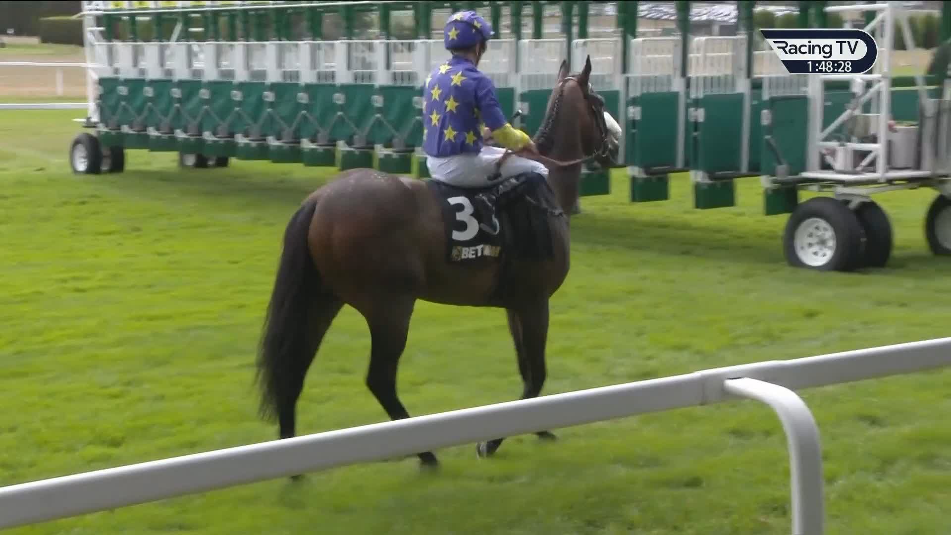Off the mark Hawk Mountain (Wootton Bassett x Hydrangea) opens the ...