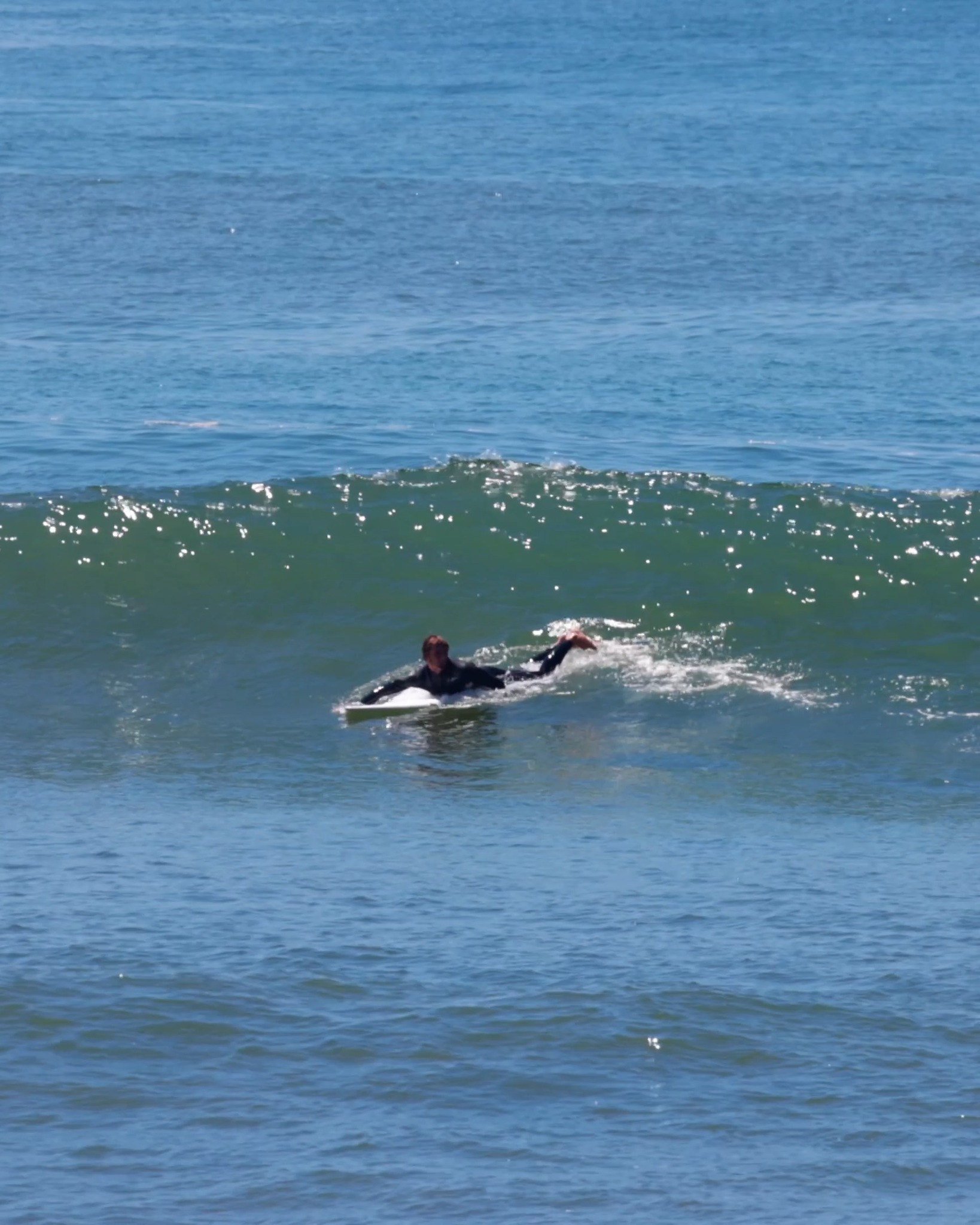 🎟️ Corey Colapinto surfing an Epoxy 7'8 Thin Twin with Dolphins