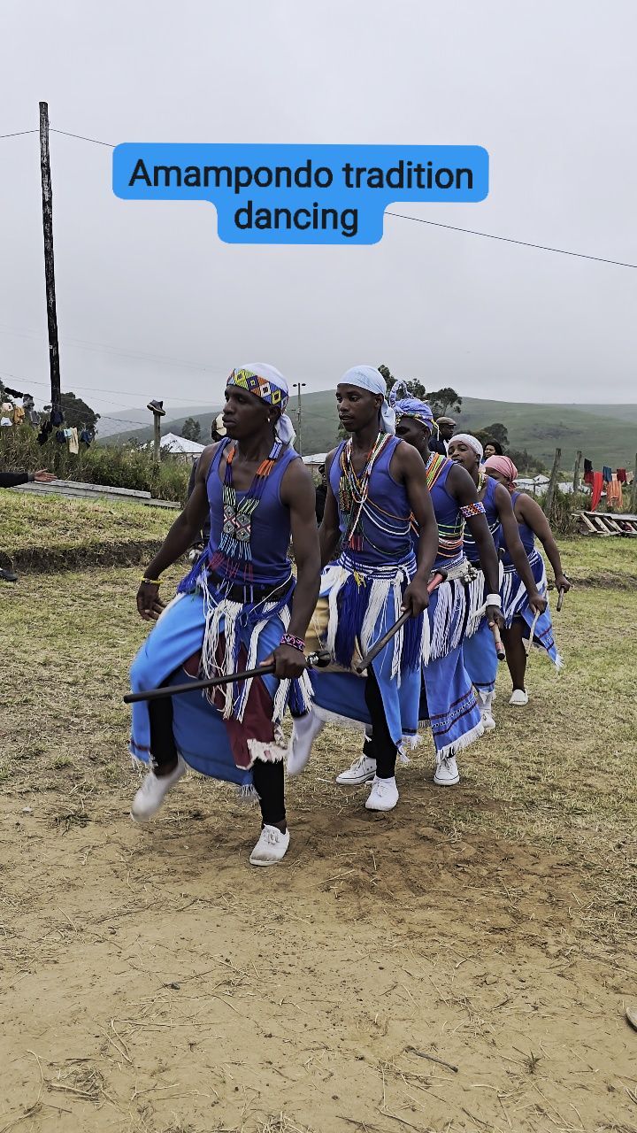 Imfene/uhubhe #amampondo #easterncape #Unolali | Qhawe Buzwayo | Facebook