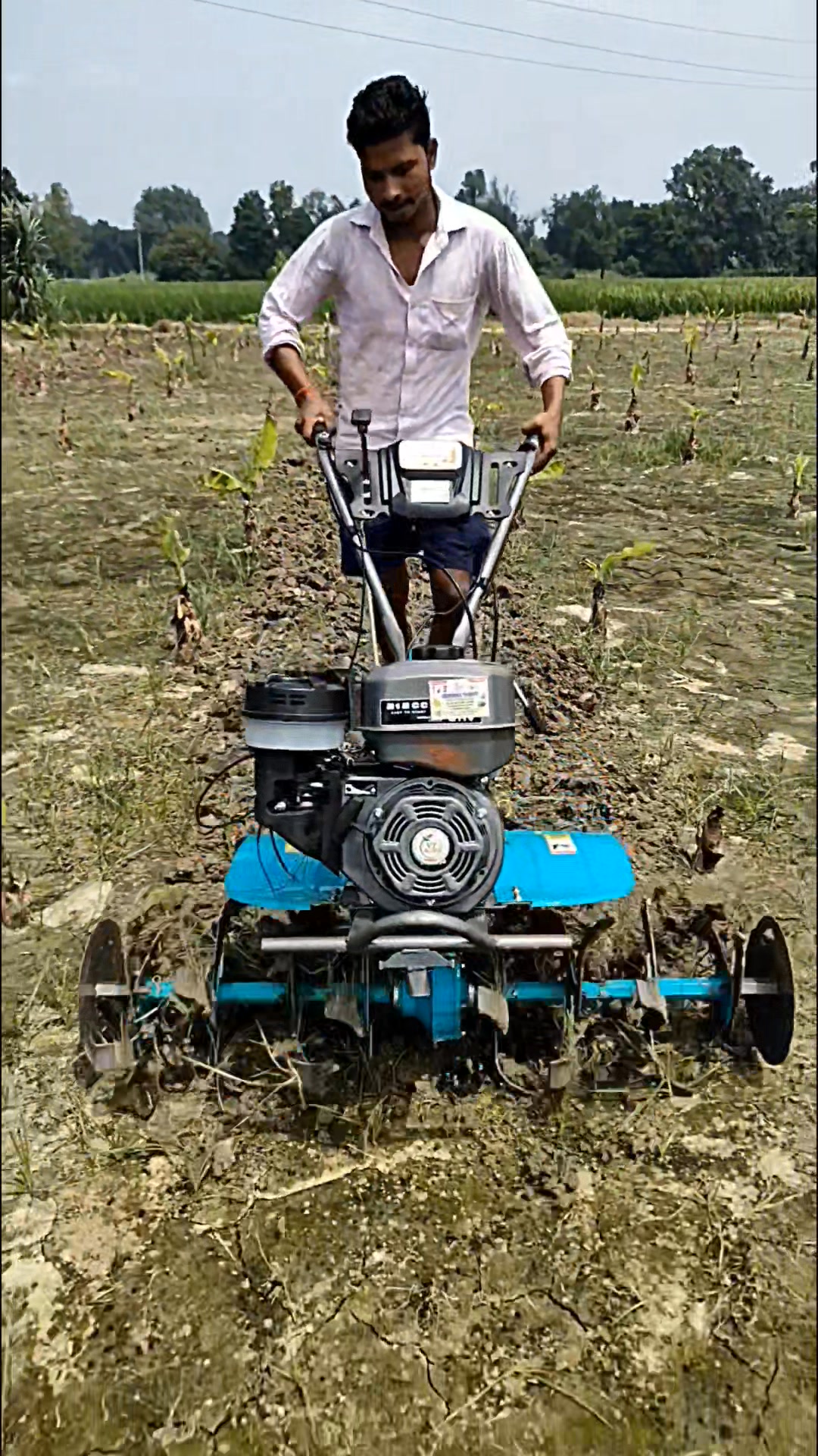 VST Maestro Power Weeder is best in class technology. It is made