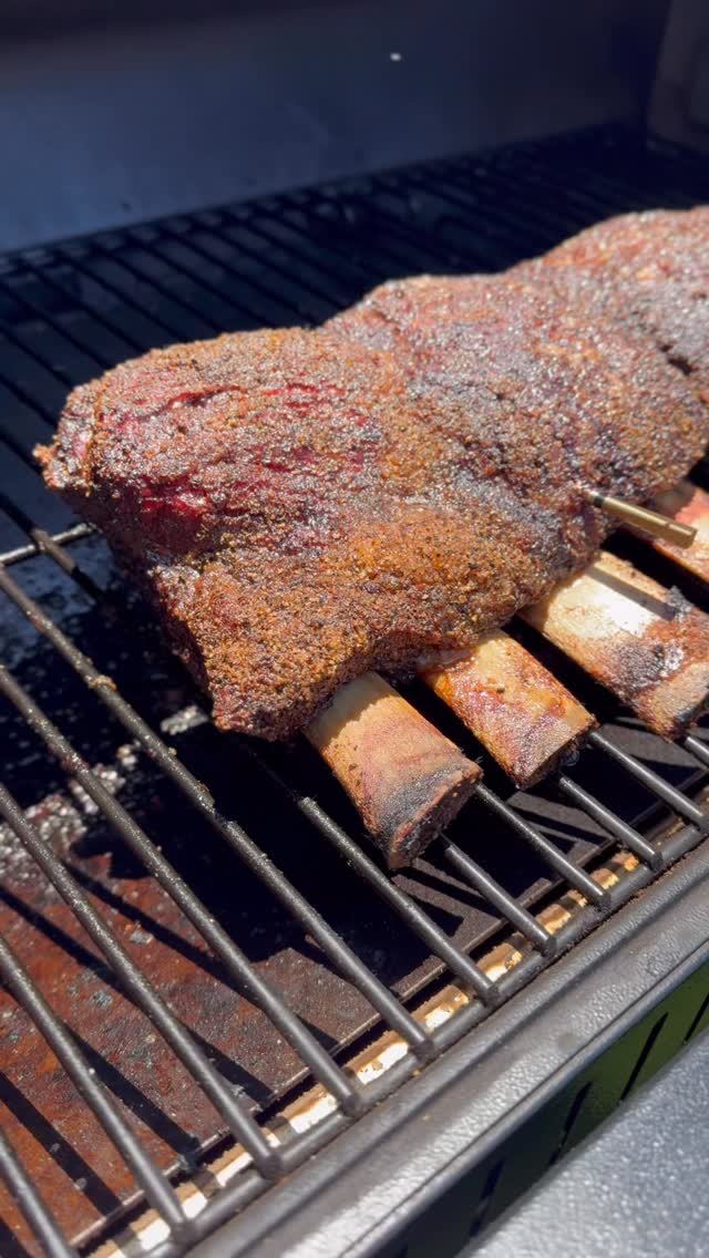 Smoked Dino Beef Ribs, also known as brisket on a bone. Probably the ...