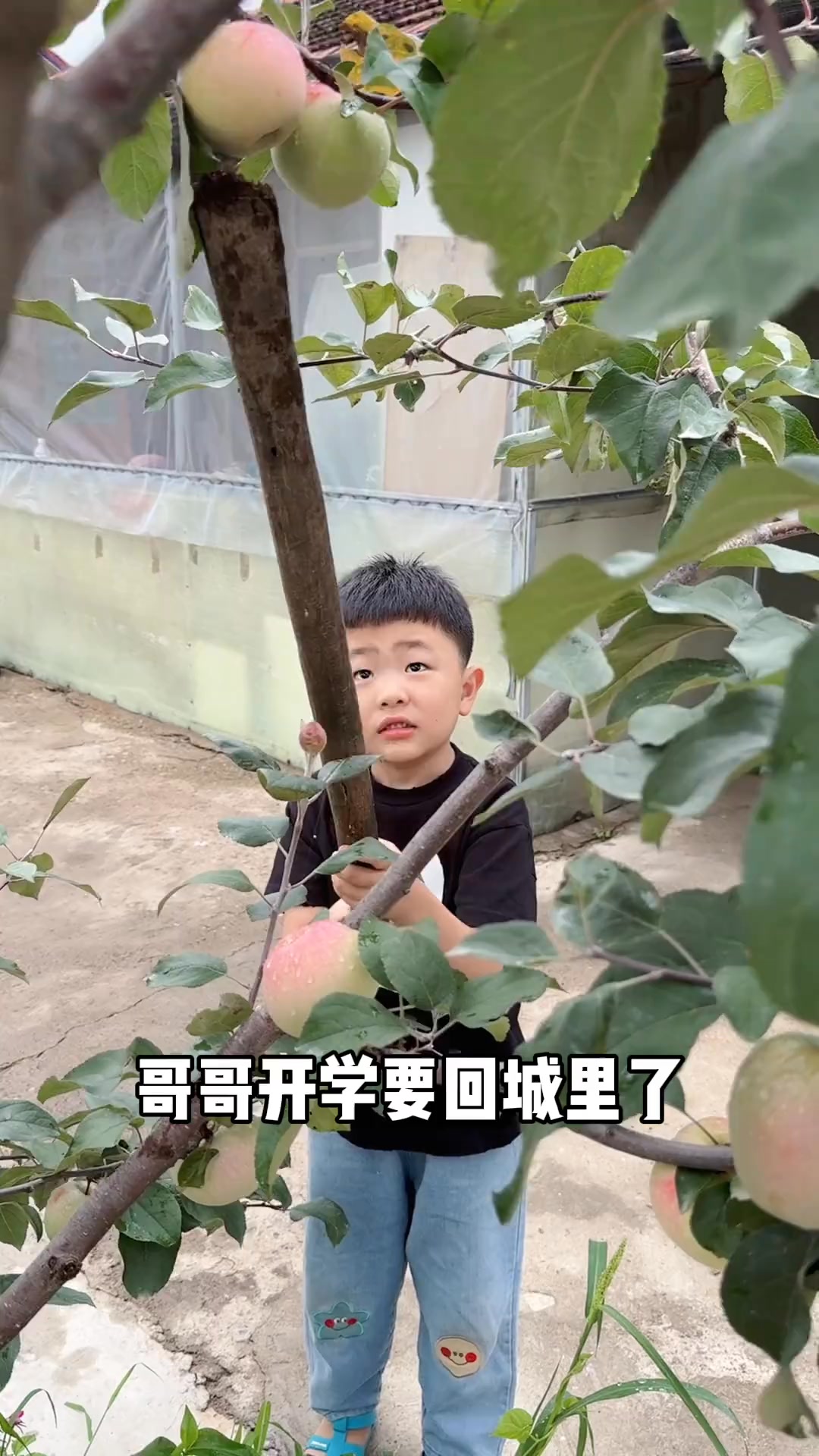 在一起的时候打打闹闹……分开的时候又兄弟情深🥹 | 多肉小盆友 | Facebook