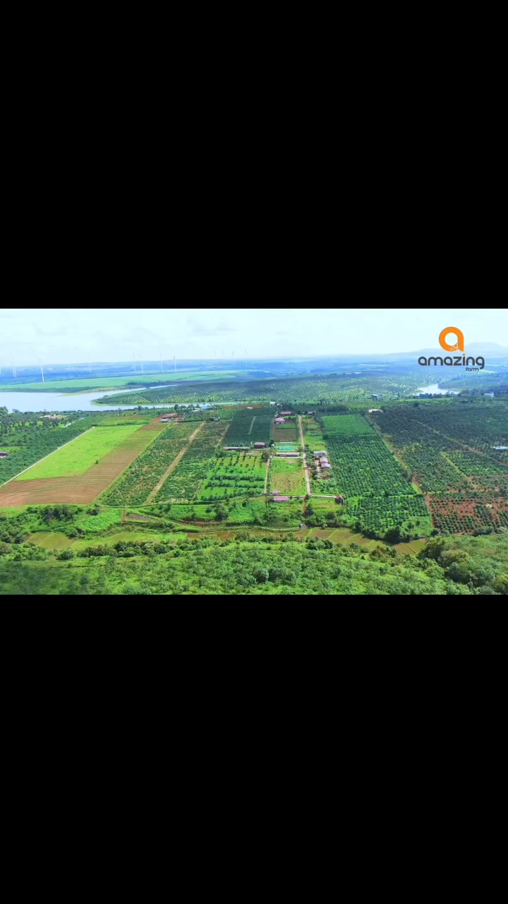 Amazing Farm | Gia Lai