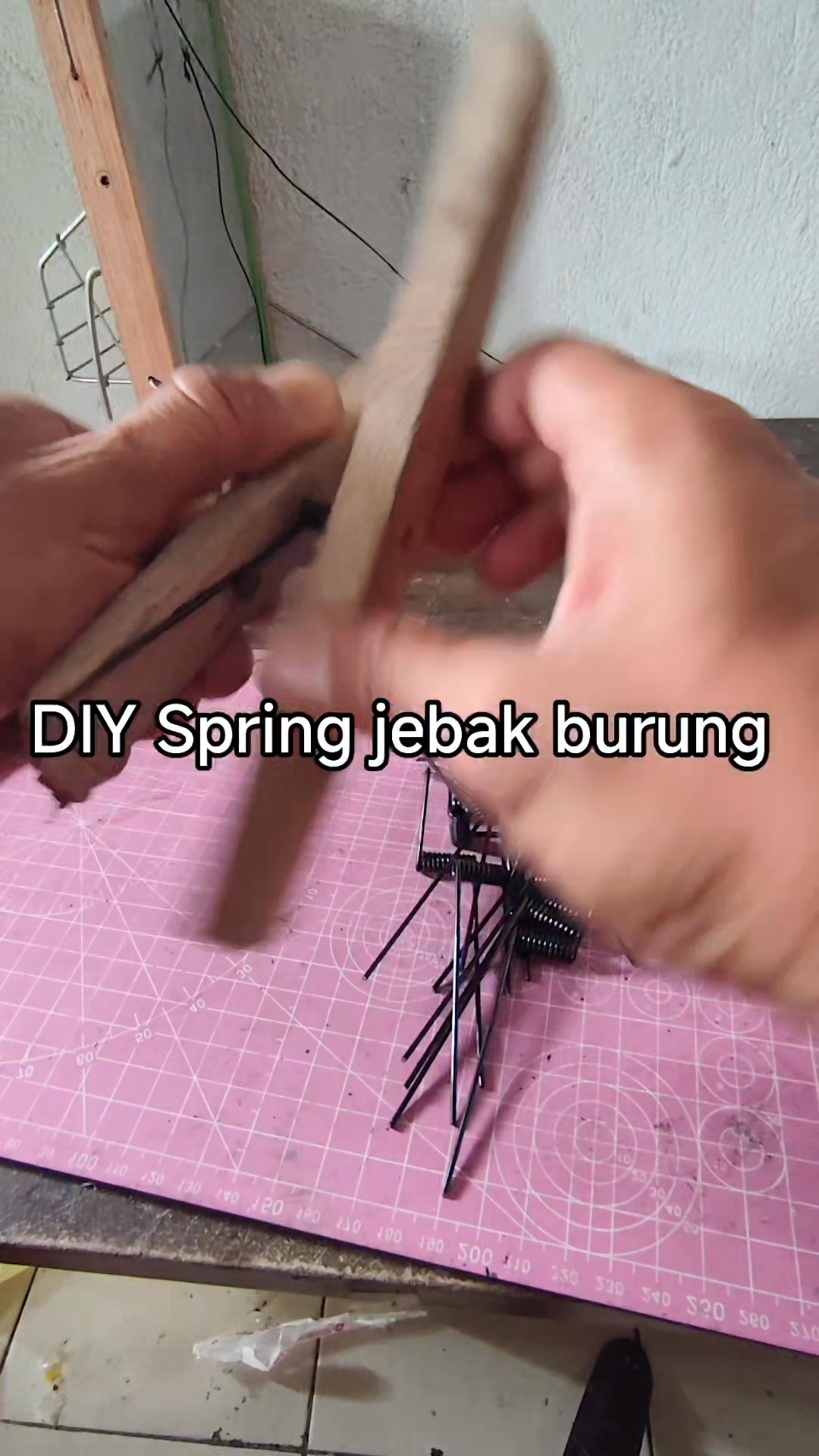 DIY #reels #spring #fyp #viral #diy #viral #jebak #birdtraps | Saufil ...