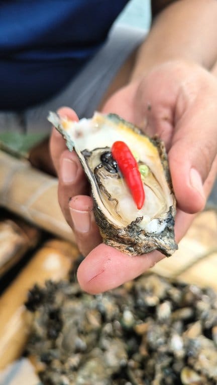 Fresh Oyster / Talaba 😋 | Capiz Mandaragat | Facebook
