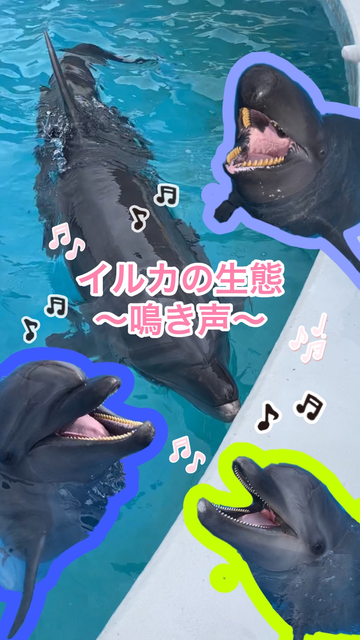 活動歴および当時の関連ビジュアル記録